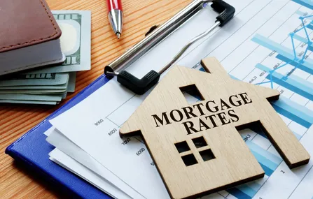 Credit Score Management: Tips for a Stronger Application